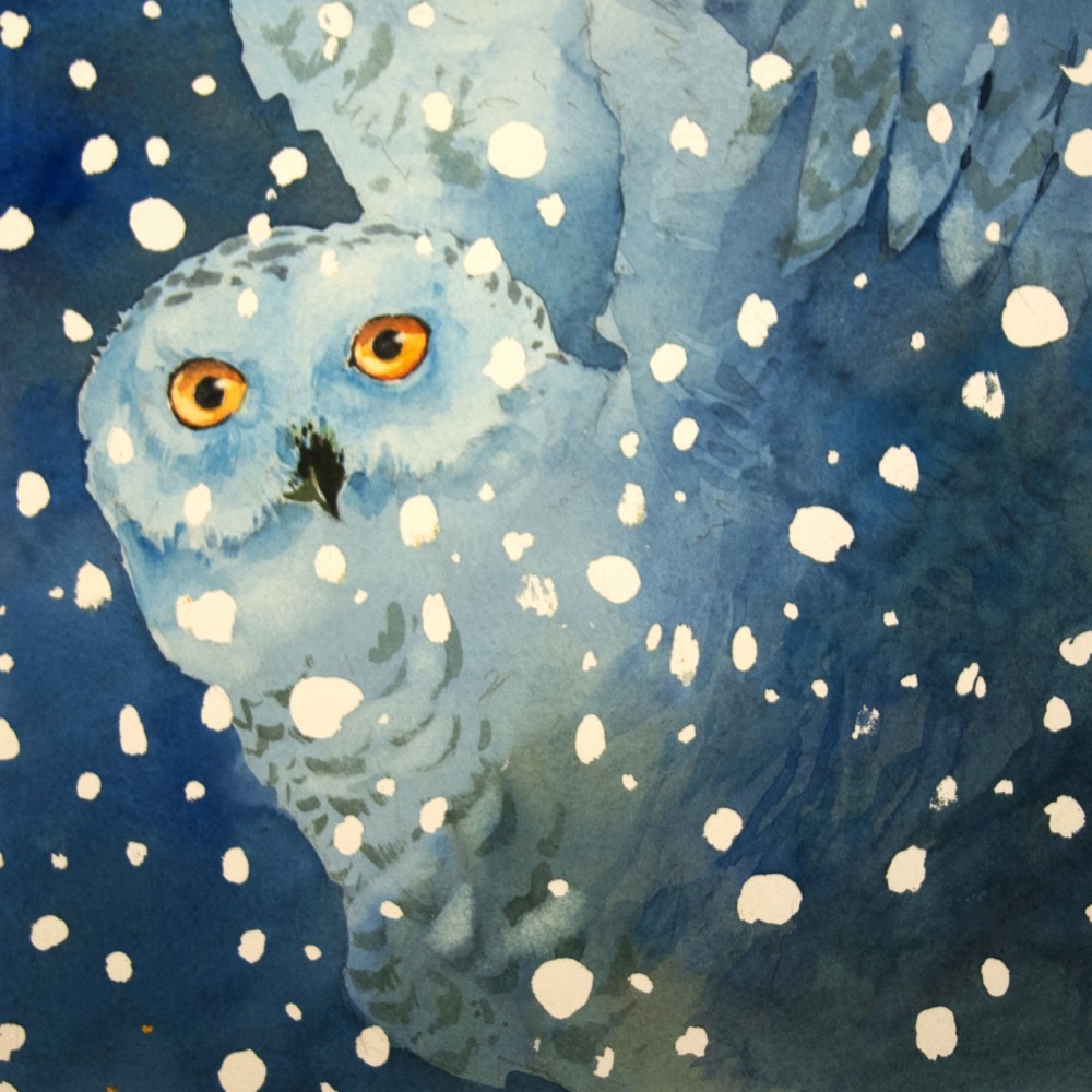 Owl Bright Clean